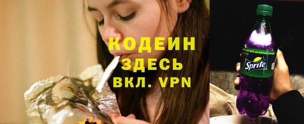 твердый Осинники