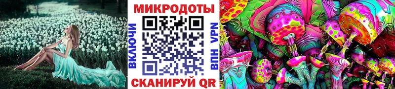 Псилоцибиновые грибы ЛСД  купить  цена  Ладушкин 